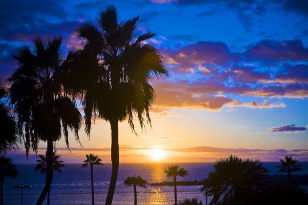 Weihnachten 2022 Auf Den Kanaren AIDAnova Weihnachten auf den Kanaren