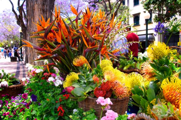 Weihnachten 2022 Auf Den Kanaren AIDAnova Weihnachten auf den Kanaren