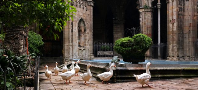 5. La Catedral de la Santa Creu i Santa Eulàlia