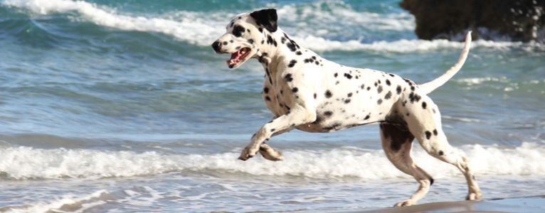 Insidertipps für den Nordseeurlaub