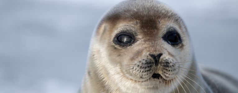 Top Ausflugsziele am Meer