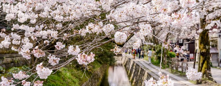 Kyoto´s Hotspots
