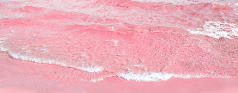 Pink Sand Beach: Traumstrand in Rosa