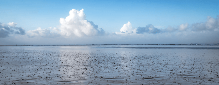 Nationalpark Wattenmeer