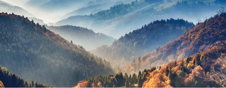 Der Schwarzwald