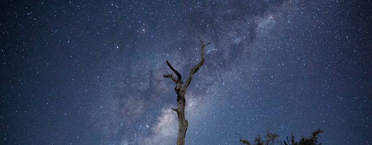 Krüger Nationalpark, Südafrika