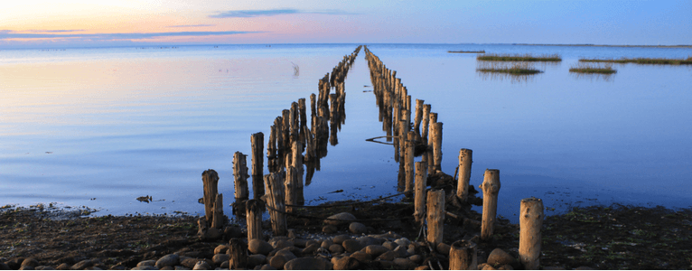 Nationalpark Wattenmeer – mit UNESCO Siegel