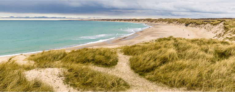 Thy Nationalpark – der erste Nationalpark Dänemarks