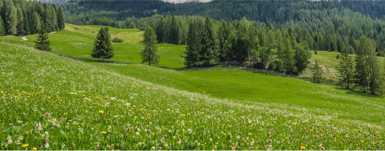 Start im malerischen Badia