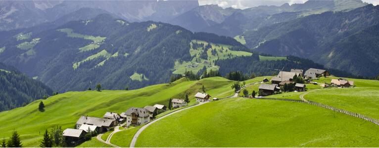 Kunterbuntes Blütenmeer